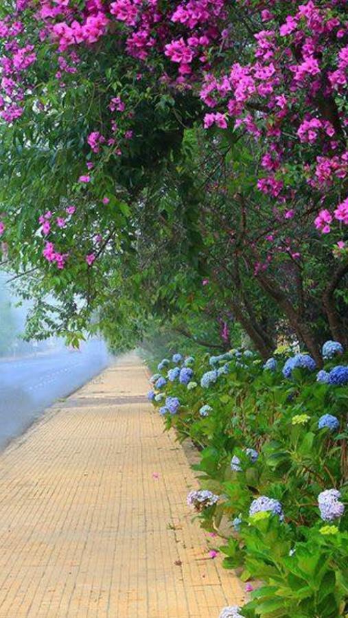 Hostel Phuong Nga Dalat Eksteriør bilde